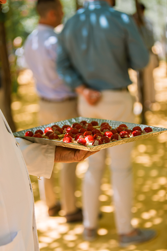 hacienda la peñuela canapes